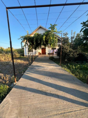 Villa Vucaj